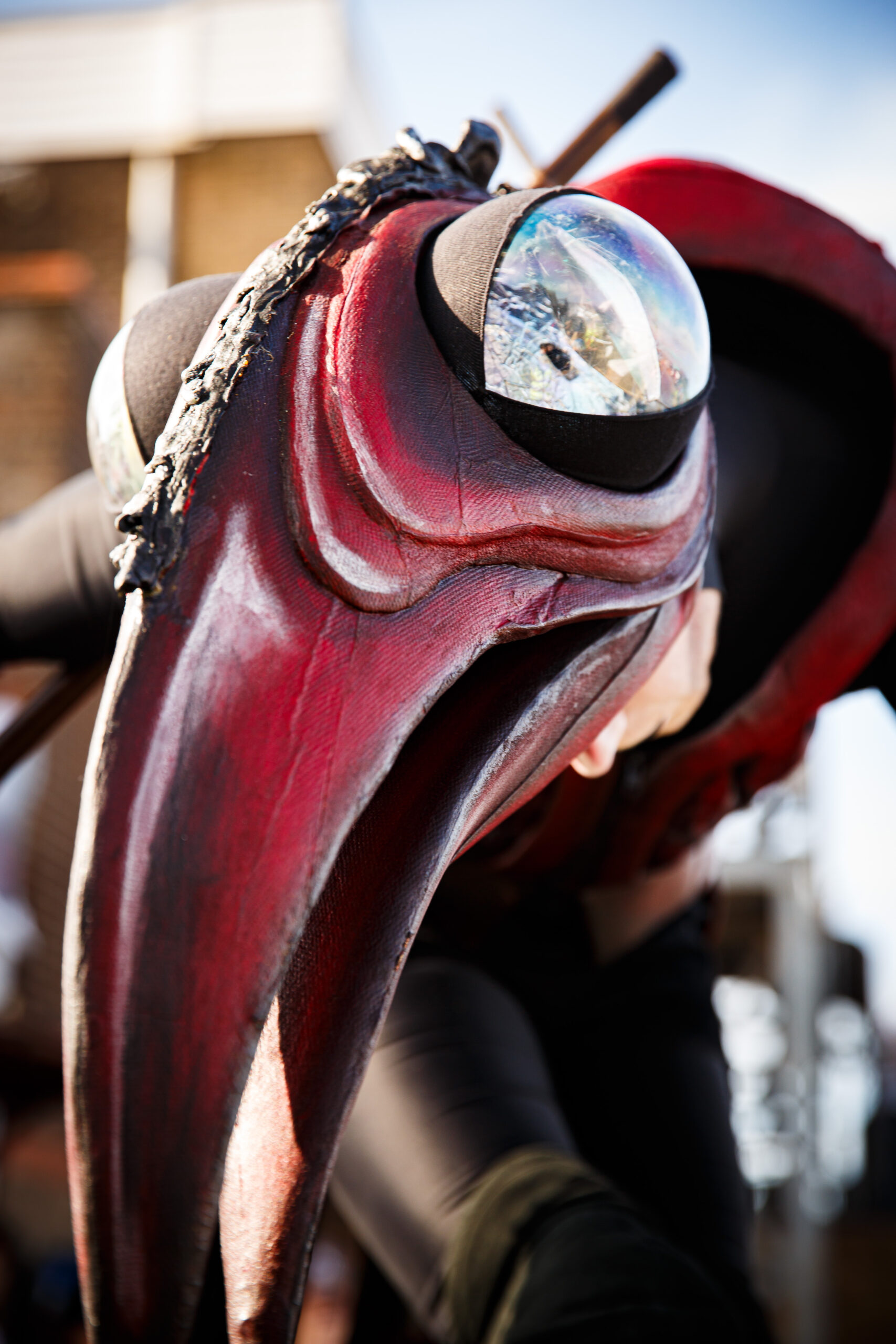FENIX