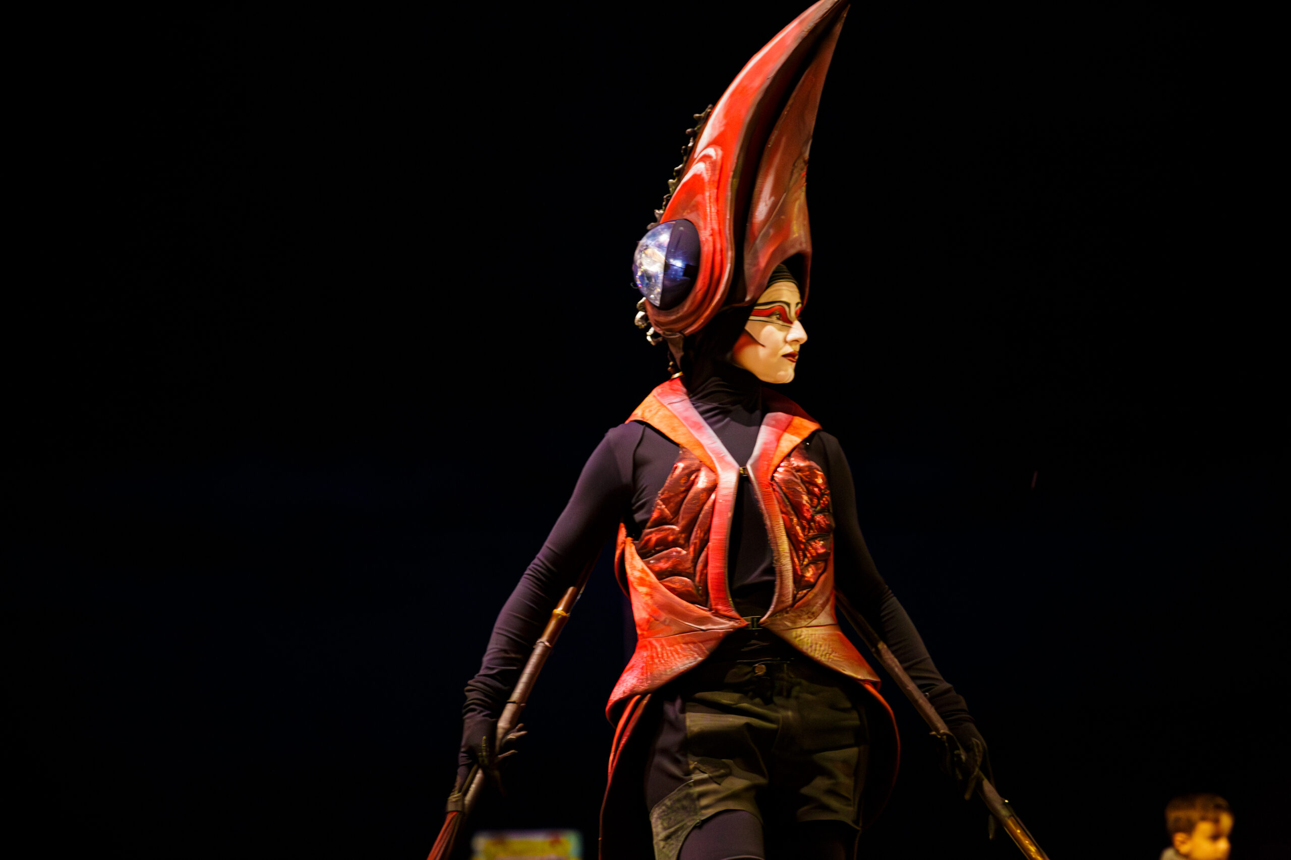 FENIX